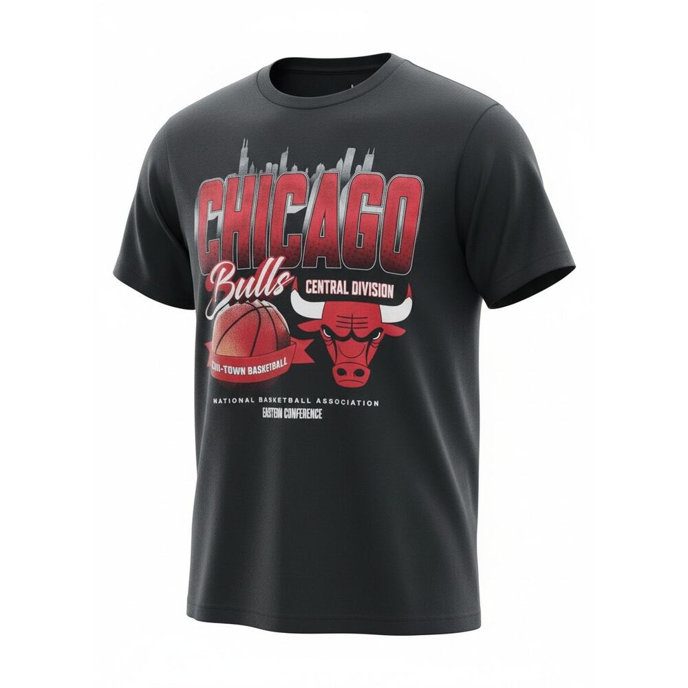 Hollister NBA Chicago Bulls Chi-Town Men's Graphic T-Shirt Black Red Size LG